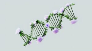 dna-testen